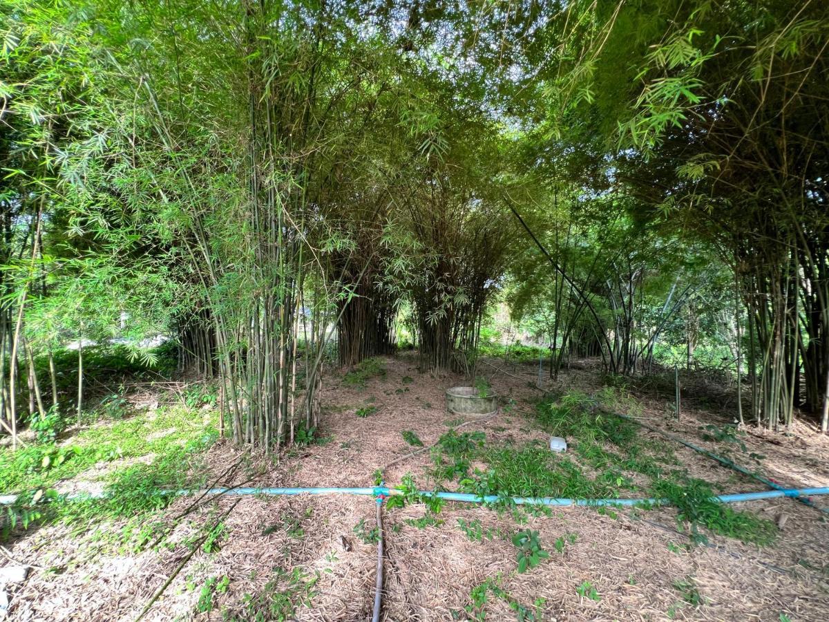 Phow Homestay Ban Mai  Екстер'єр фото