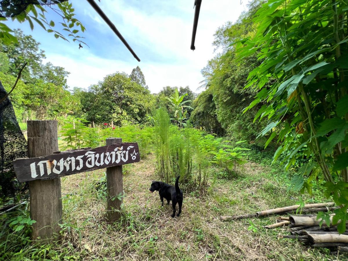 Phow Homestay Ban Mai  Екстер'єр фото